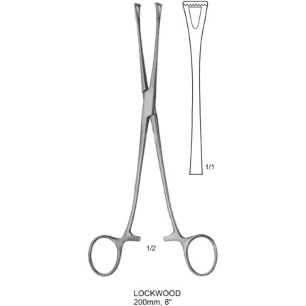 NEW-1173